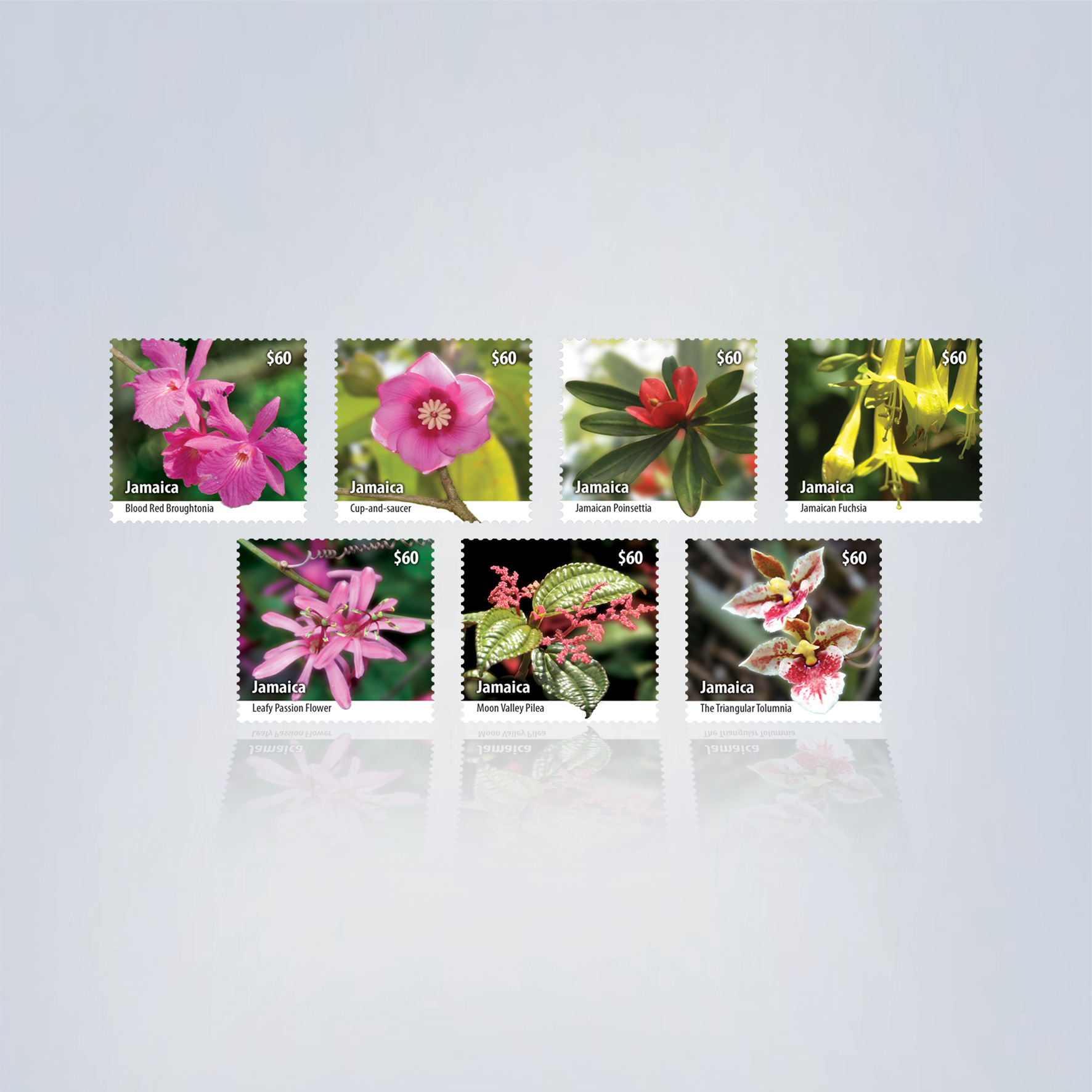 Jamaica ‘Flora & Fauna’