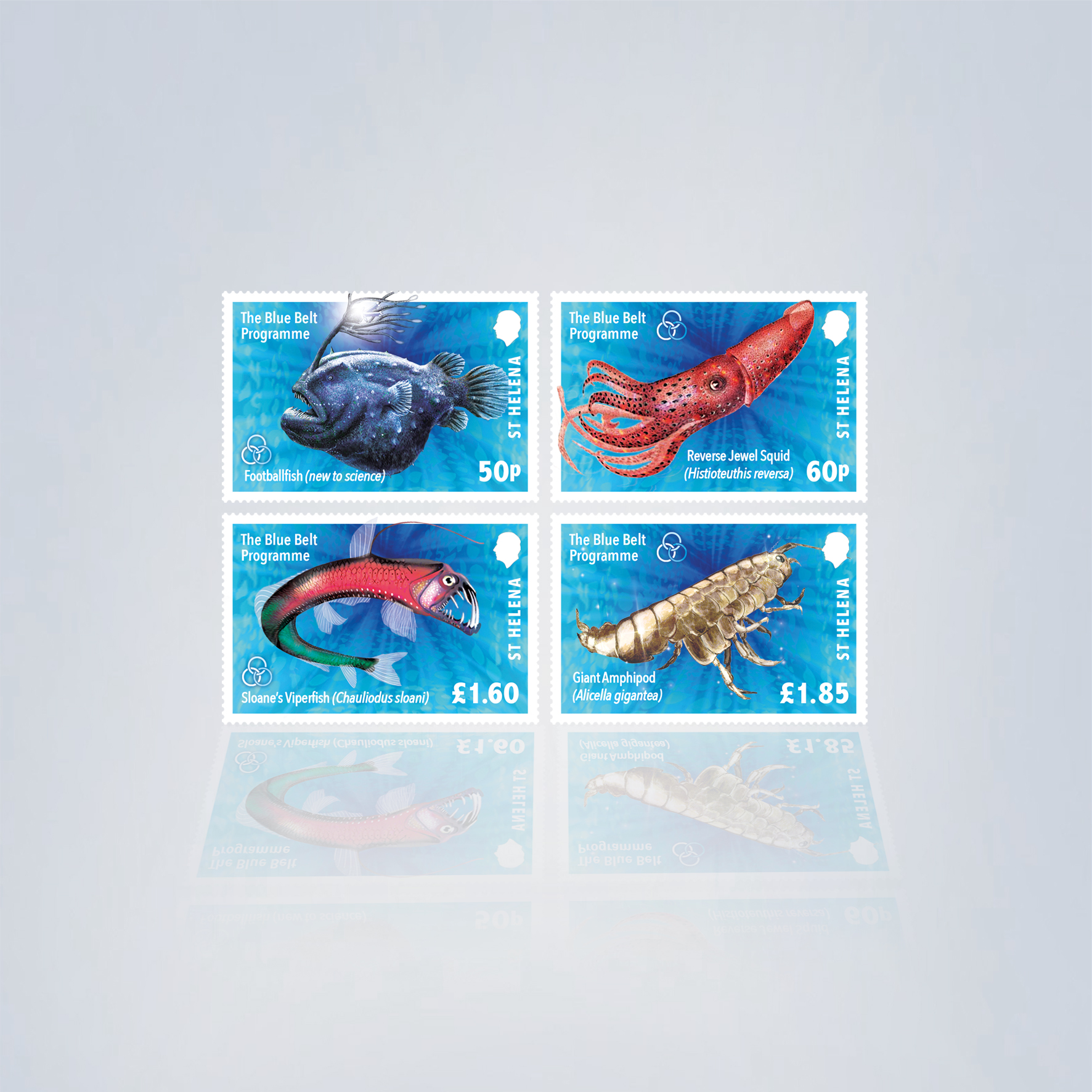 St Helena ‘Blue Belt Programme’